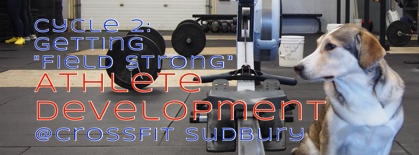 Athlete Development – Training Cycle 2 – Getting “Field Strong”